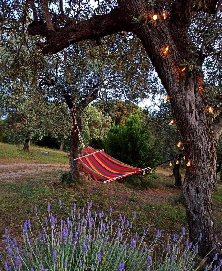 Tramonto